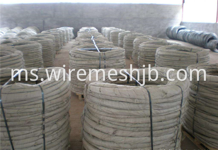 Galvanized Razor Wire